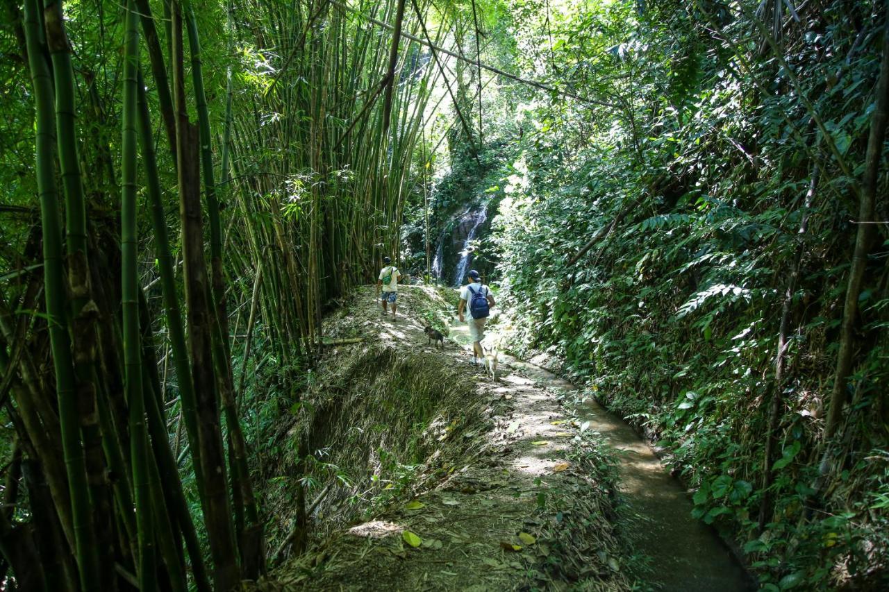 ミンカ Masaya Casas Viejasホステル エクステリア 写真